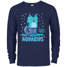 Aquarius Kitty Cat Zodiac February Birthday Astrology Gift