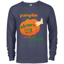 Little Pumpkin Pregnancy Announcement Shirt February 2018