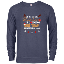 February 2018 A Little Reindeer Is Joining Our Team T-shirt