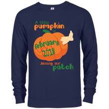 Little Pumpkin Pregnancy Announcement Shirt February 2018