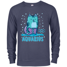 Aquarius Kitty Cat Zodiac February Birthday Astrology Gift